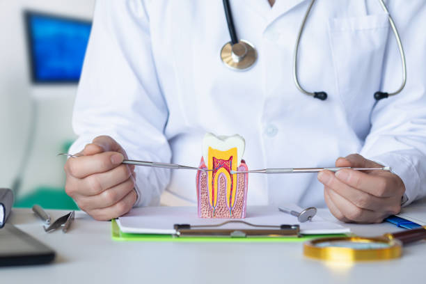 Best Weekend Emergency Dental Services in Berkeley Lake, GA
